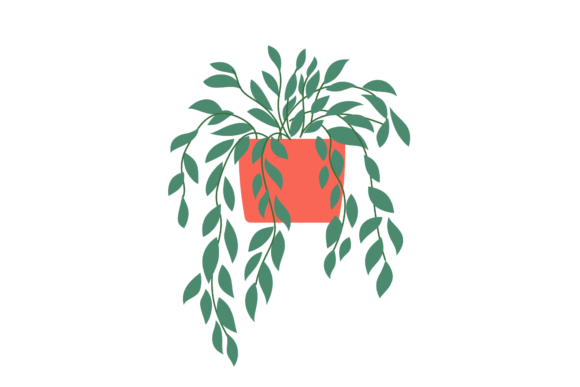 Download Houseplants Indoors - Indoors Collection